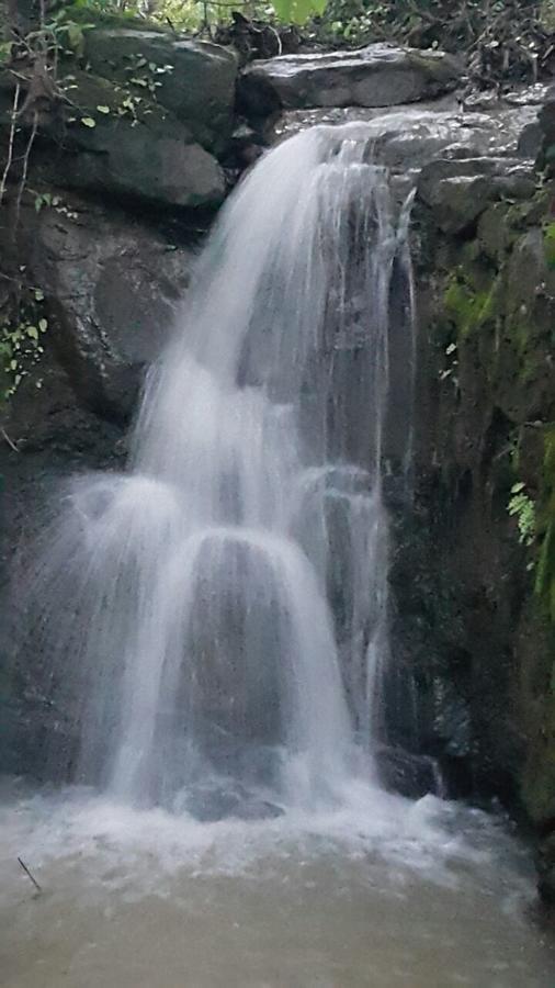 Cherilyn Monta Resort - Ratnagiri Vatul Dış mekan fotoğraf